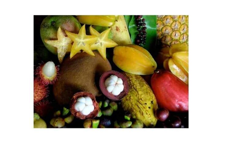 भारत में उगने वाले फलों के नाम