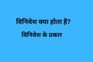 विनिवेश क्या होता है?