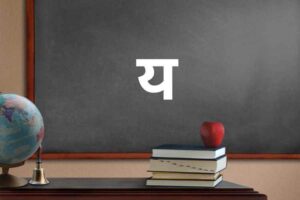 य से शुरू होने वाले शब्द