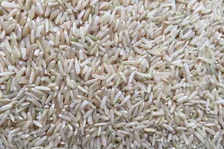 Paddy rice production in india