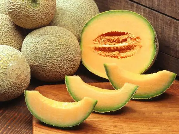 Muskmelon